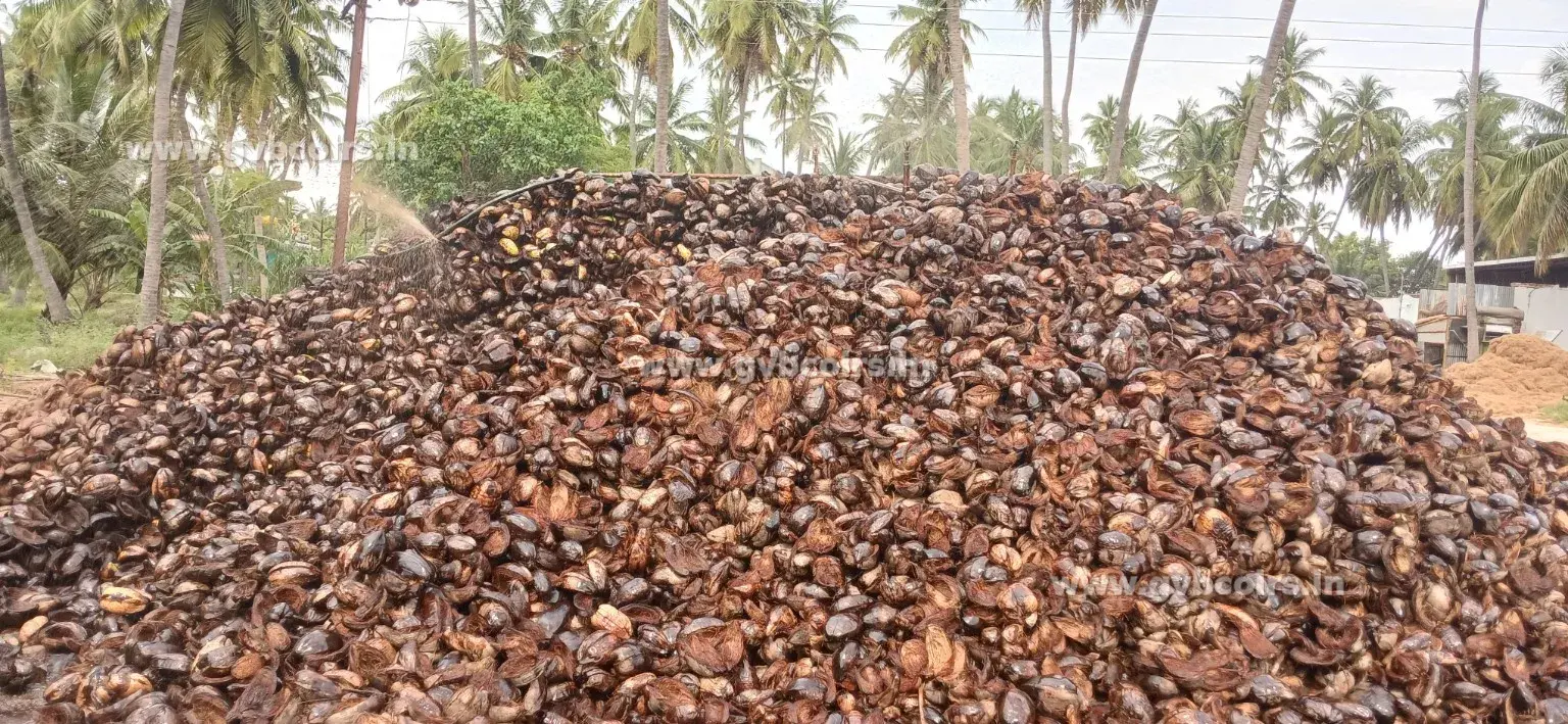 Coconut Shell Raw Material Processing - GVB Exports