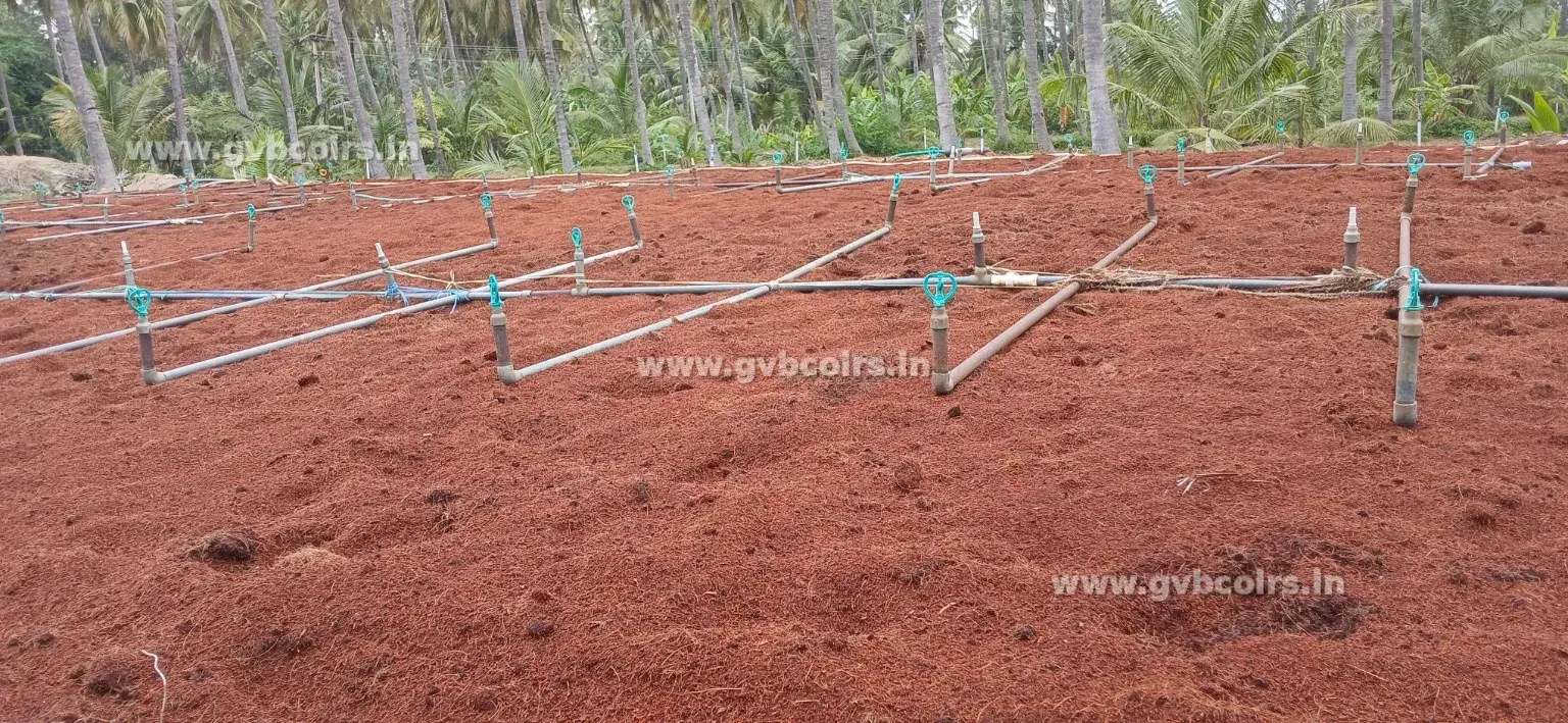 Washing and EC Leaching Process of Cocopeat Substrates - GVB Coirs Facility Tour