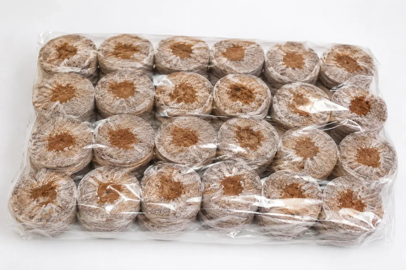 Seedlings Sprouting in Coir Discs - GVB Coirs