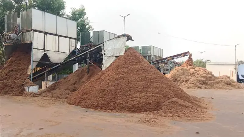 Substrate Texture of Premium Decompressed Cocopeat