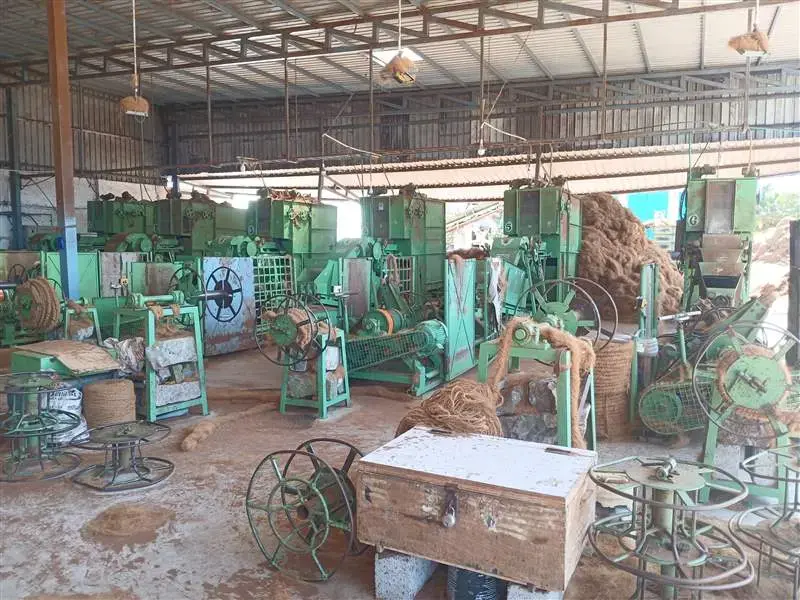 Industrial Stuffing Twisted Curled Coir Fiber