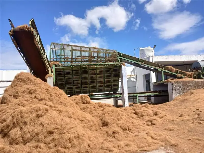 Industrial Raw Coir Fiber Warehouse Storage
