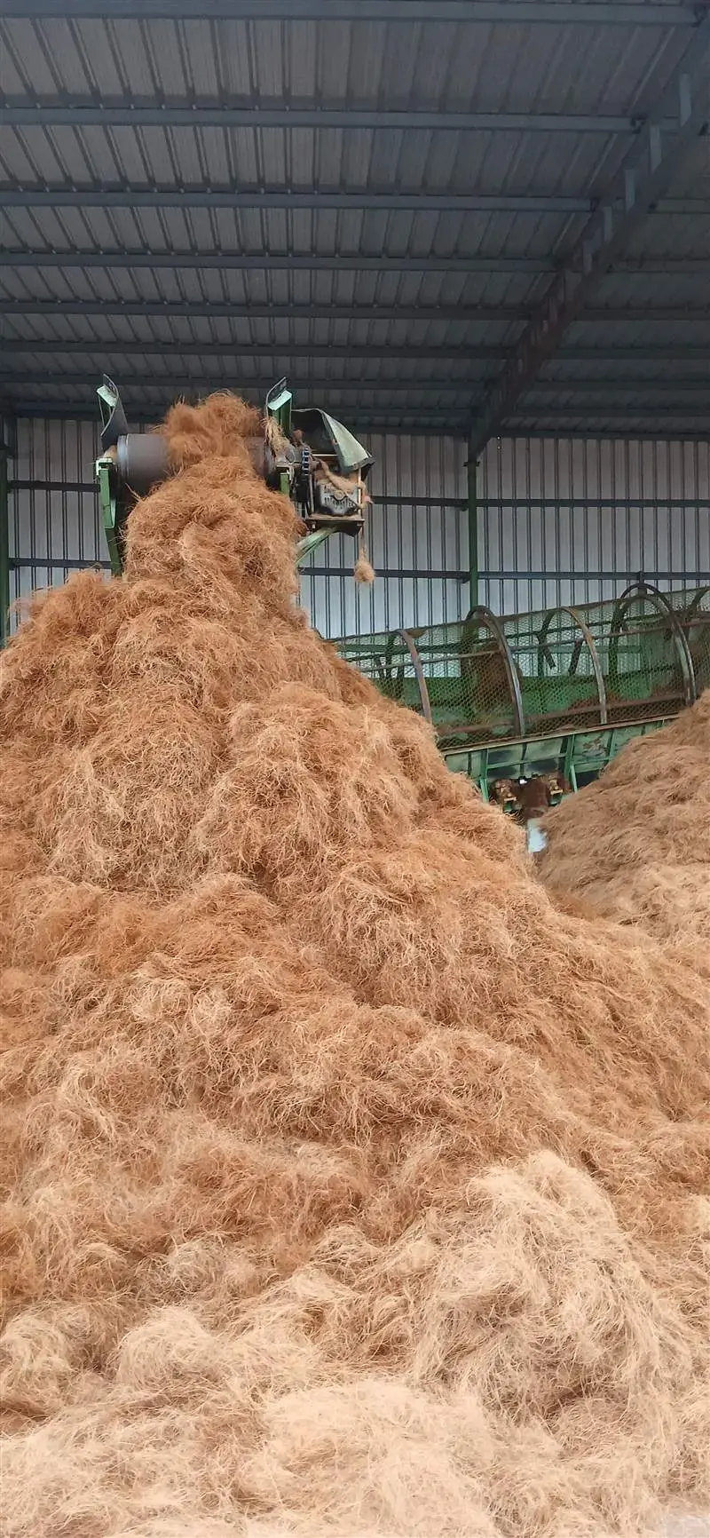 Bulk Container Dispatch for Coir Pots and Cocopeat Containers