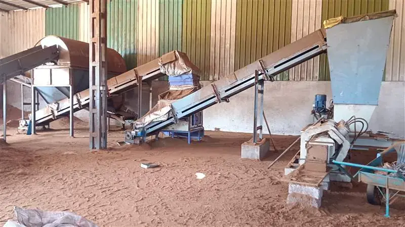 Raw Material Yard for Coir Fiber and Cocopeat Production