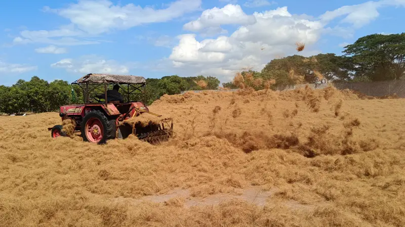 Hydraulic Pressed Coir Fiber Bales - Manufacturer of Coir Fiber, Grow Bags, and Coir Products in India