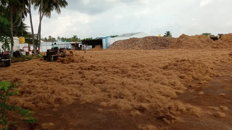 Raw Golden Coir Fiber Extraction - Top Exporter of Cocopeat and Coir Fiber in India