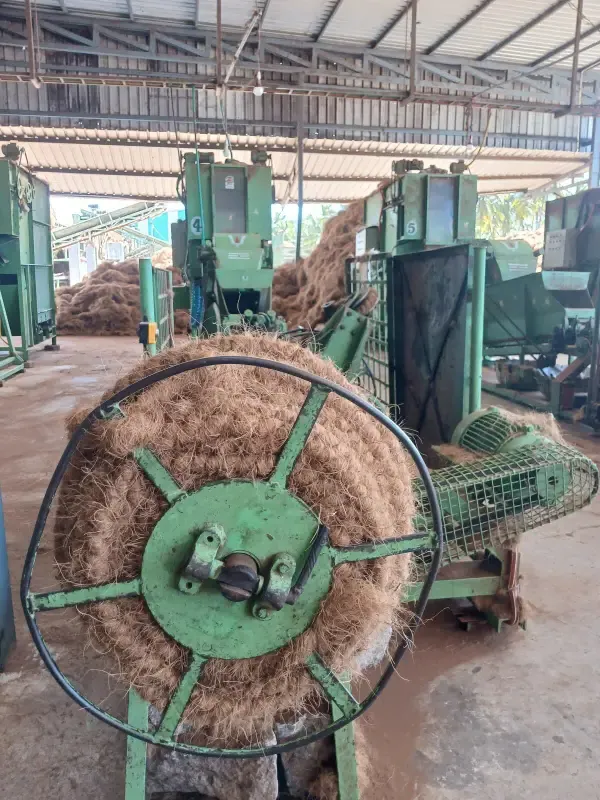 Automated Machine Curling Process for Coir Fiber - Direct Manufacturer and Exporter in India